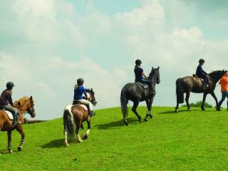 Englischkurse mit Sport