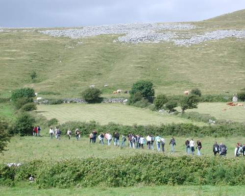 Sprachreise mit Wanderungen durch die Natur Westirlands
