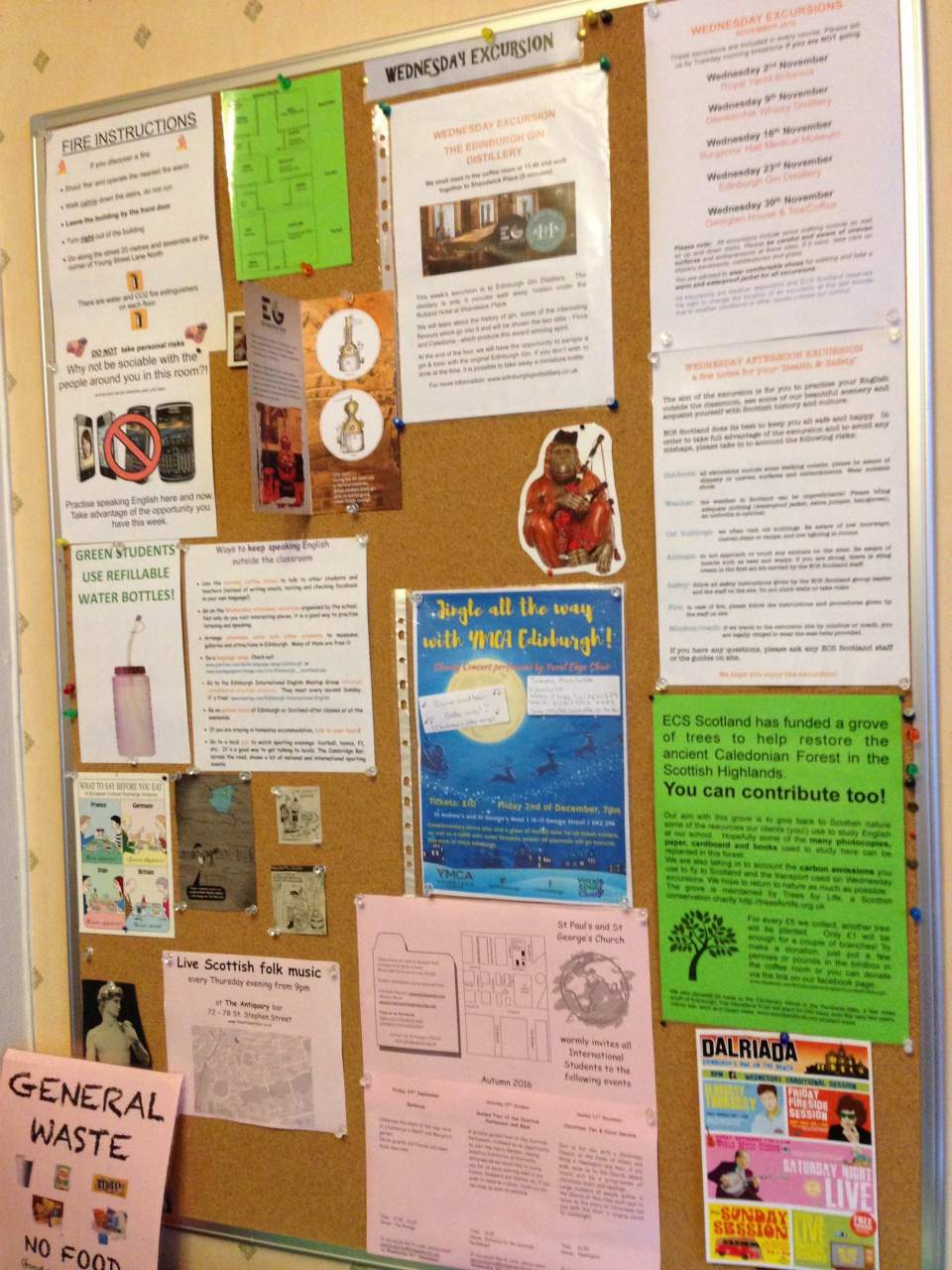 "Wednesday Excursions" und viele weitere Aktivitäten der Sprachschule