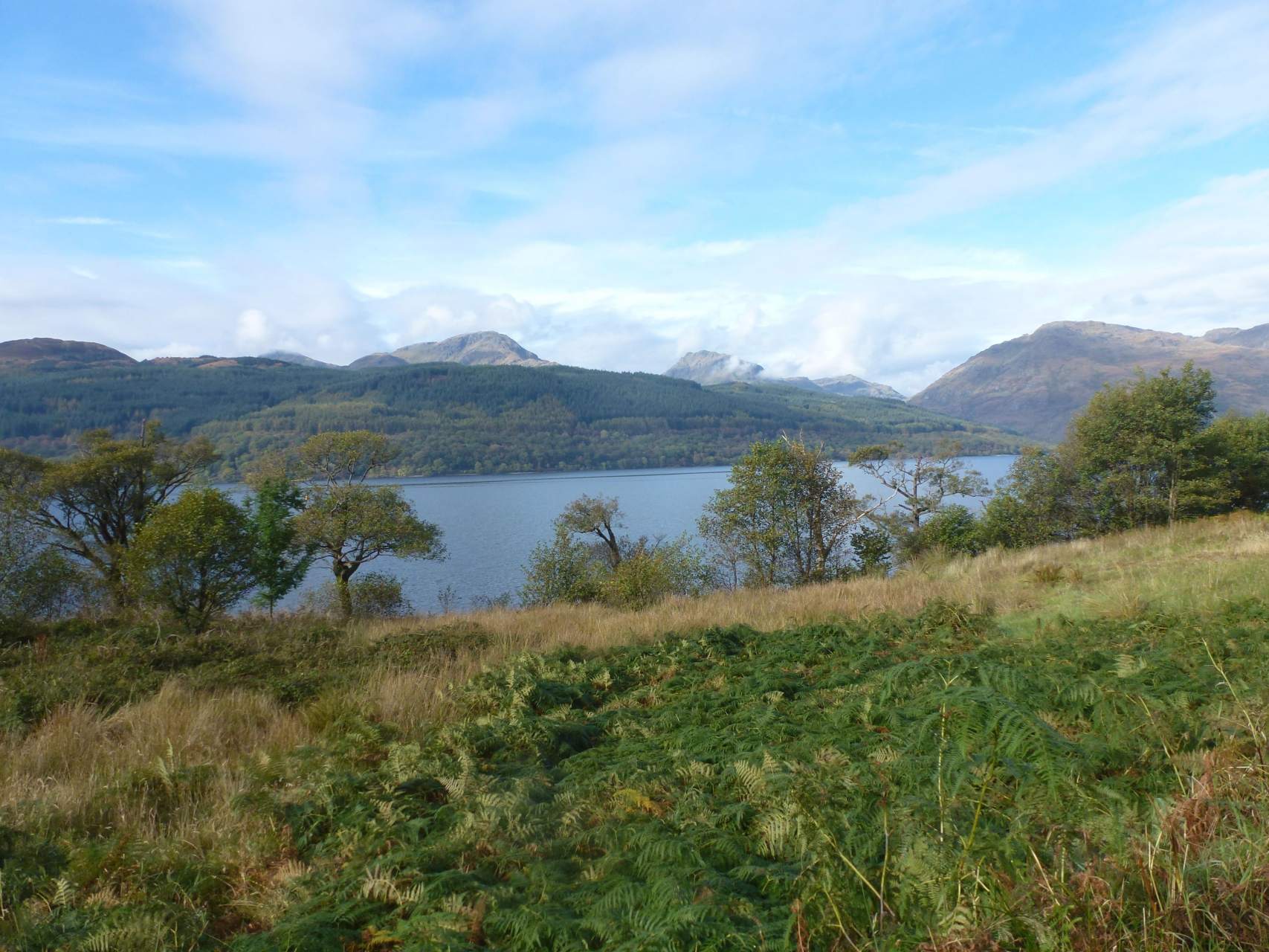 Englisch Sprachkurs in Schottland: Die Ufer des Loch Lomond.jpg