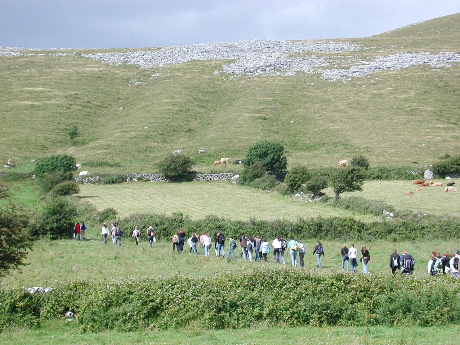 Sprachreise mit Wanderungen durch die Natur Westirlands