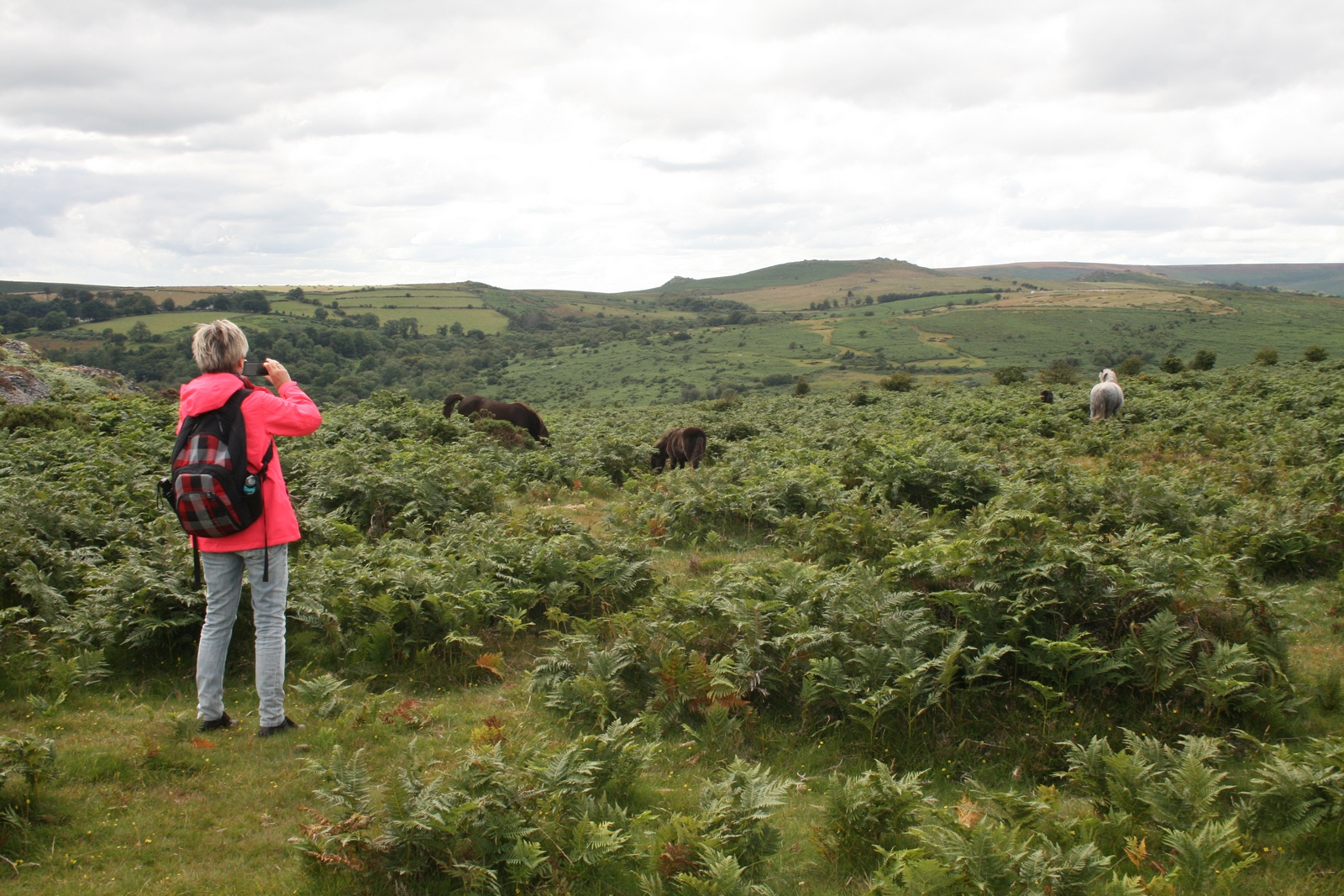 Dartmoor Ausflug mit der Devon School of English