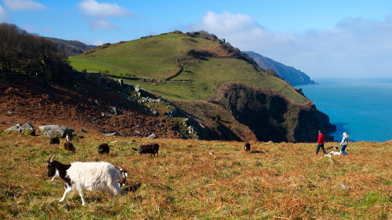 Ein sonniger Herbsttag in Devon.jpg