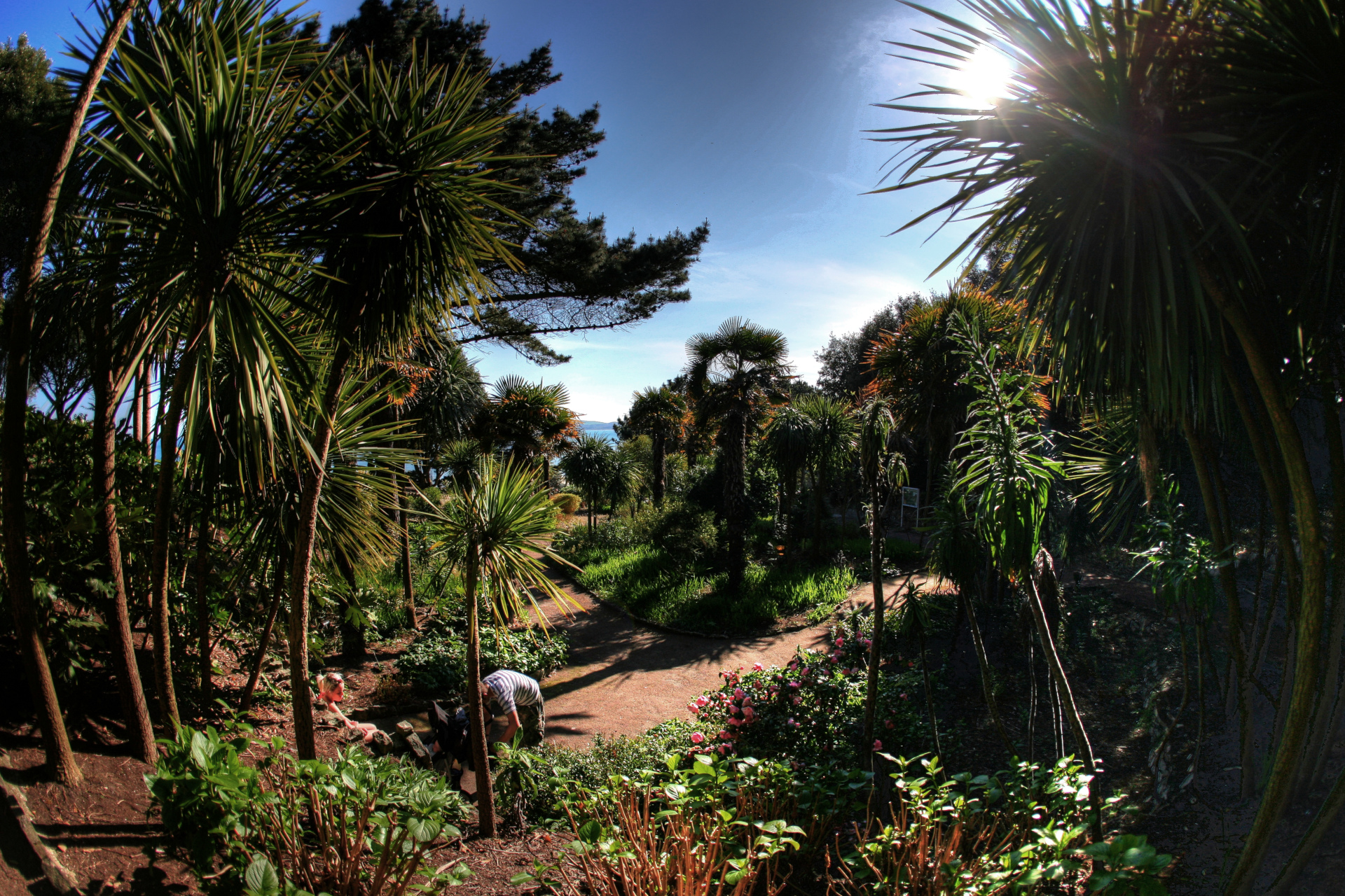 Die beruehmten Gaerten in Bournemouth.jpg