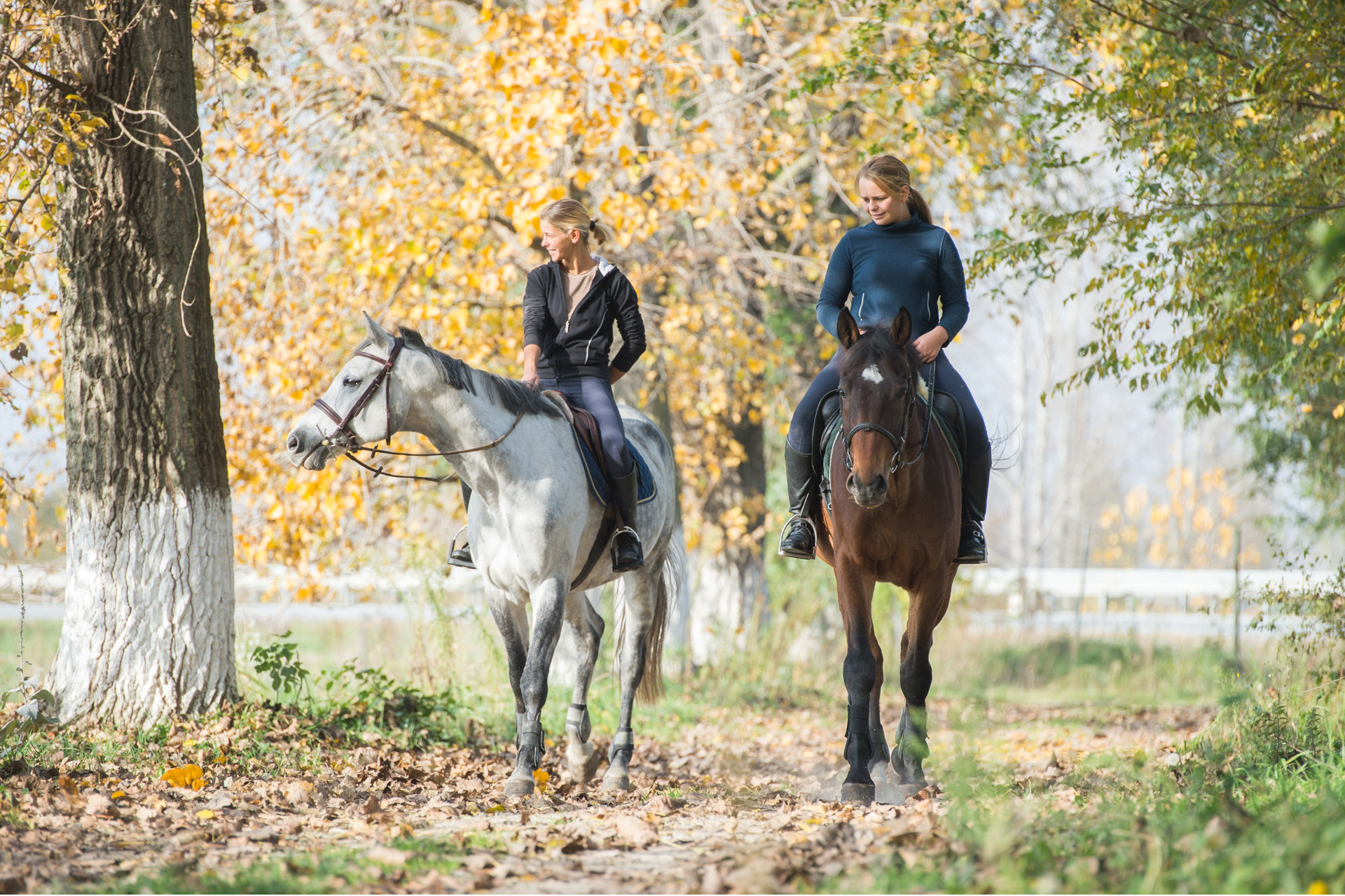 Englisch lernen plus Reiten.jpg