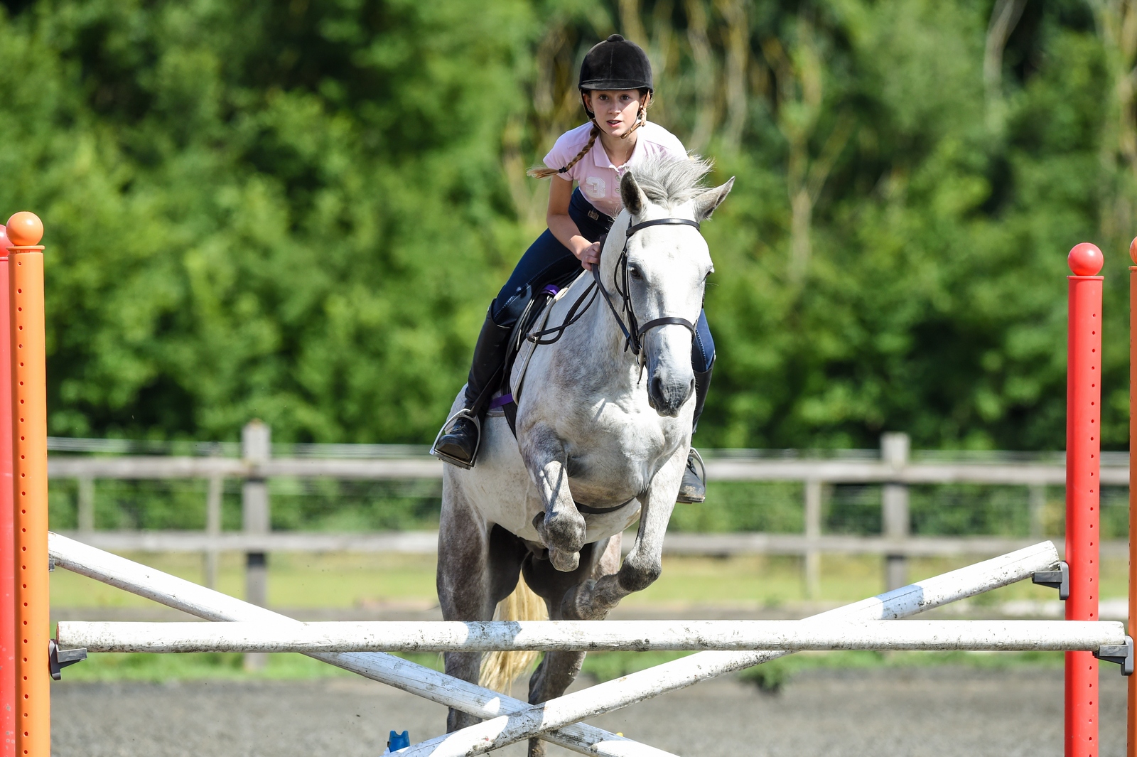 Springreiten im Internat
