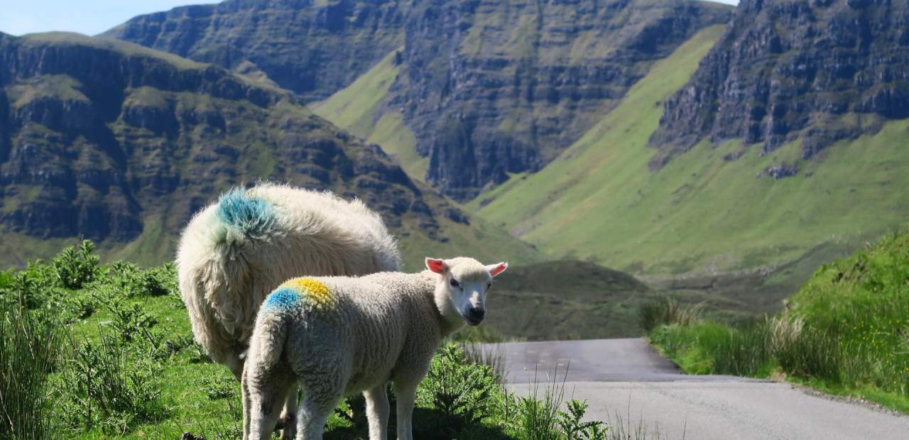 SCHOTTLAND Isle of Skye The Cuilins 