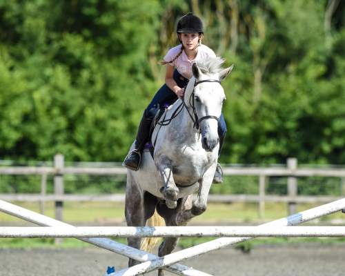 Springreiten im Internat