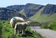 SCHOTTLAND Isle of Skye The Cuilins 